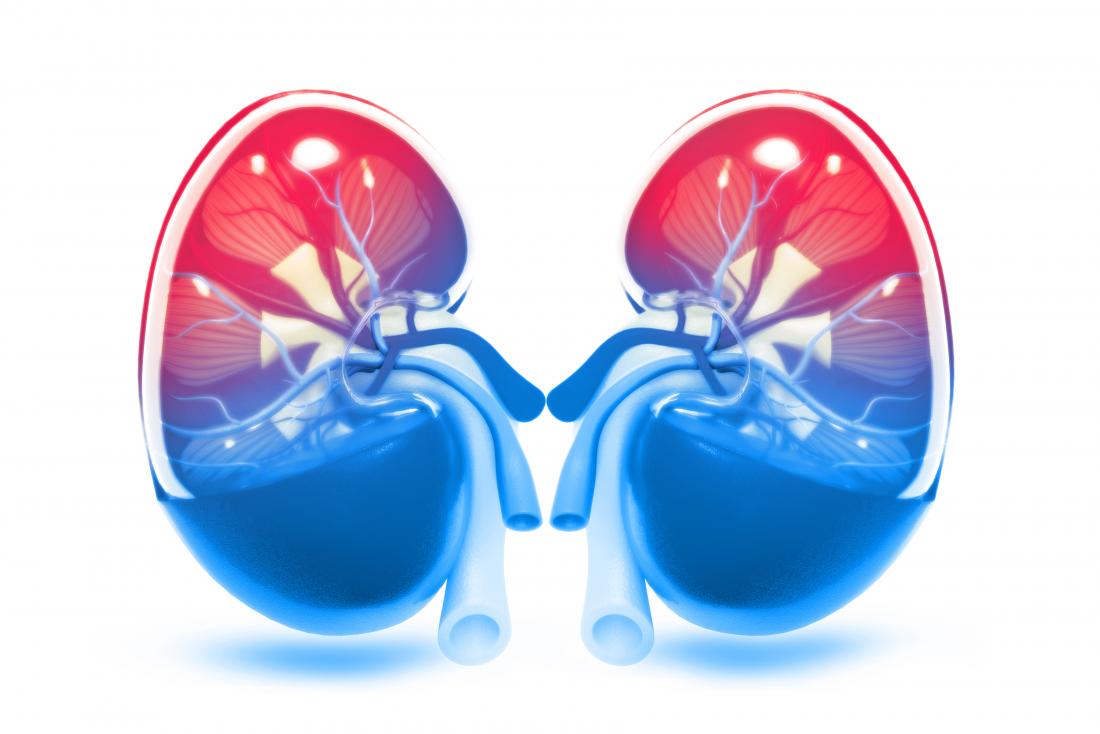 bottled-water-is-safe-for-kidney