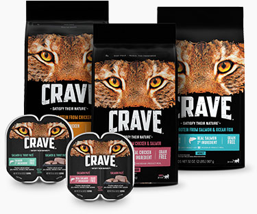 How to Choose balanced Organic Cat Food | AAFCO Approved