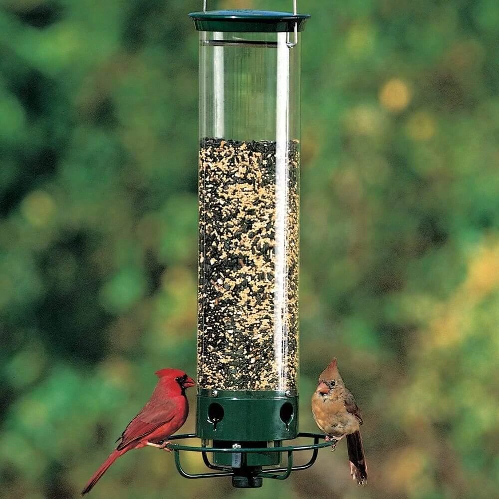 Pros And Cons Of Bird Feeders 5 Best Squirrel-Proof Bird Feeders Pros and Cons