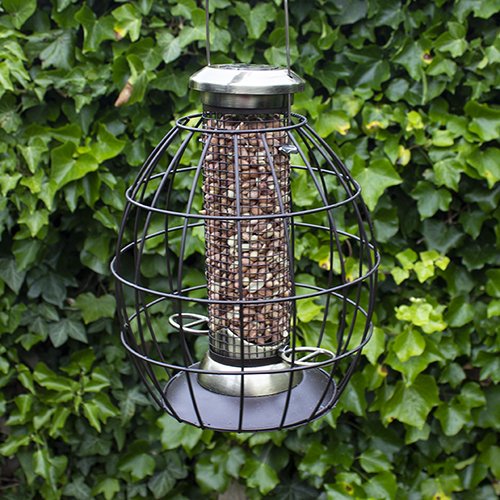 5 Best Squirrel-Proof Bird Feeders Pros and Cons