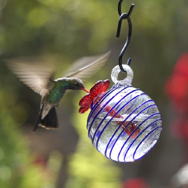 how-do-work-glass-hummingbird-feeder how-do-work-glass-hummingbird-feeder