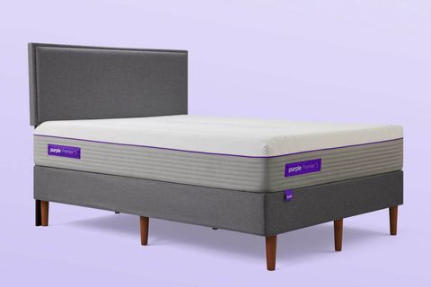 Purple-plus-Mattress-Purple-Mattresses Purple-plus-Mattress-Purple-Mattresses