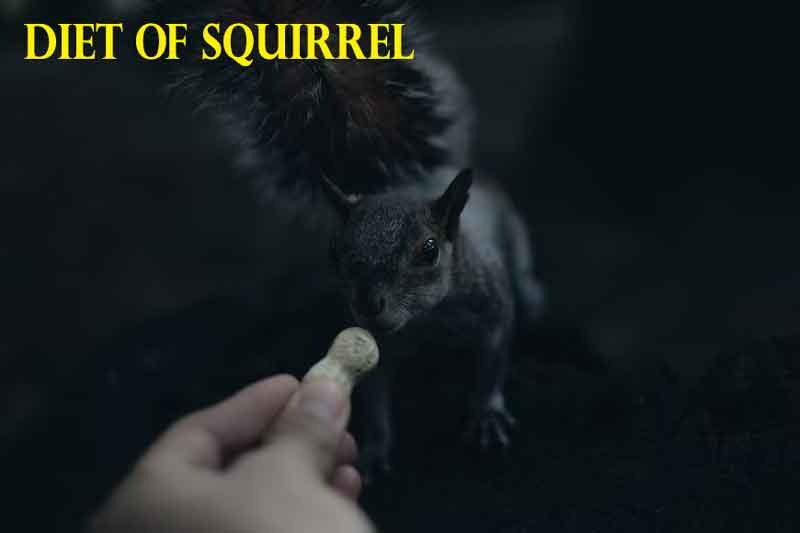 WhatsApp Image 2023-01-30 at 9.18.12 PM