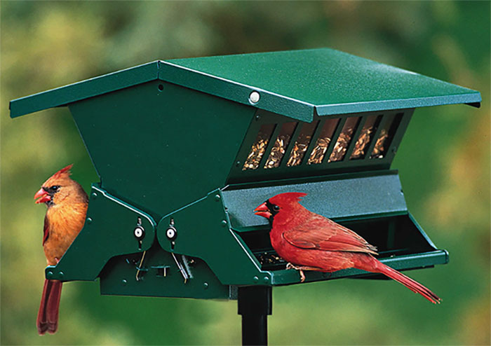Wood-link-Absolute-Squirrel-Proof-Bird-Feeder Wood-link-Absolute-Squirrel-Proof-Bird-Feeder
